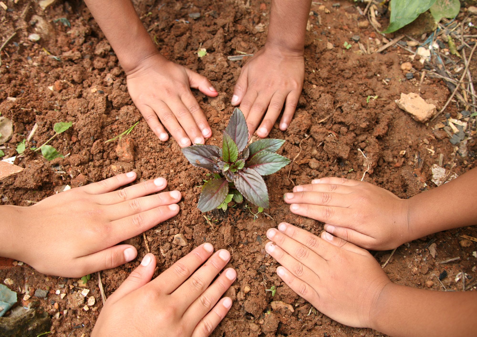 Skolēnus aicina reģistrēties dalībai NVA vasaras nodarbinātības pasākumā