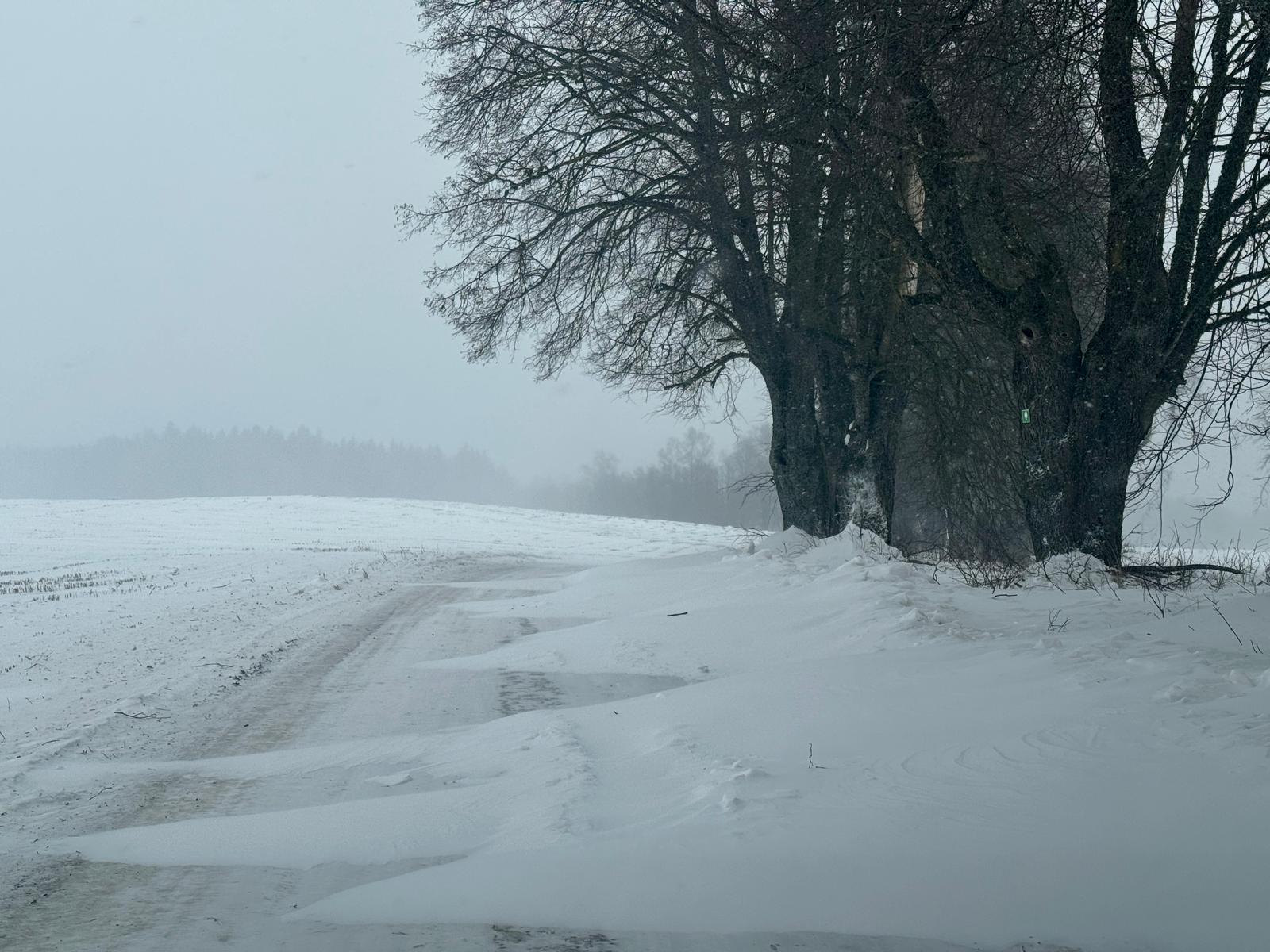 Ilgstoša snigšana un putenis; aicinām būt īpaši piesardzīgiem uz ceļiem&nbsp;