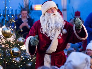 Ziemas koncertzāle. Muzikāla leļļu izrāde bērniem