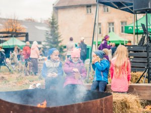 Zaļā dzīvesveida festivāls “GreenFest‘19” Zaļās Villas kvartālā (19.