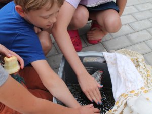 Mores Tautas nama amatiermākslas kolektīvu iestudētā izrāde – dziesmu spēle “Sprunguļmuižā gadatirgus”